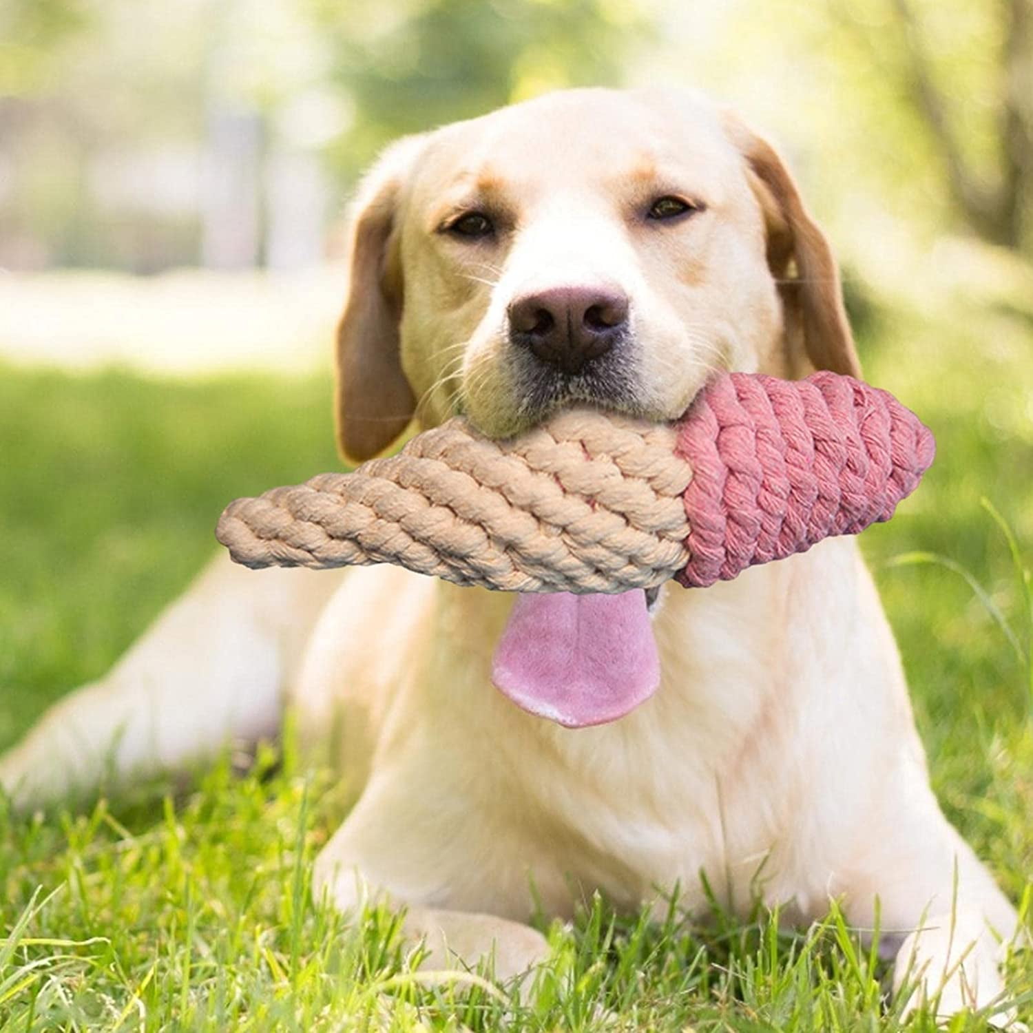 Dog Toothbrush Toy Ice Cream Stick Dog Dogs Dental Care Teeth Cleaning Chews Toy Dog Tooth Brushing Toy Oral Dental Care Bite Resistant Dog Toys for