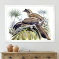 thumbnail image 3 of Designart 'Ancient Australian Birds XIV' Traditional Framed Art Print, 3 of 4