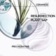 thumbnail image 5 of Mascarilla capilar KERASTASE Resistance Force Architecte 200 ml, 5 of 8