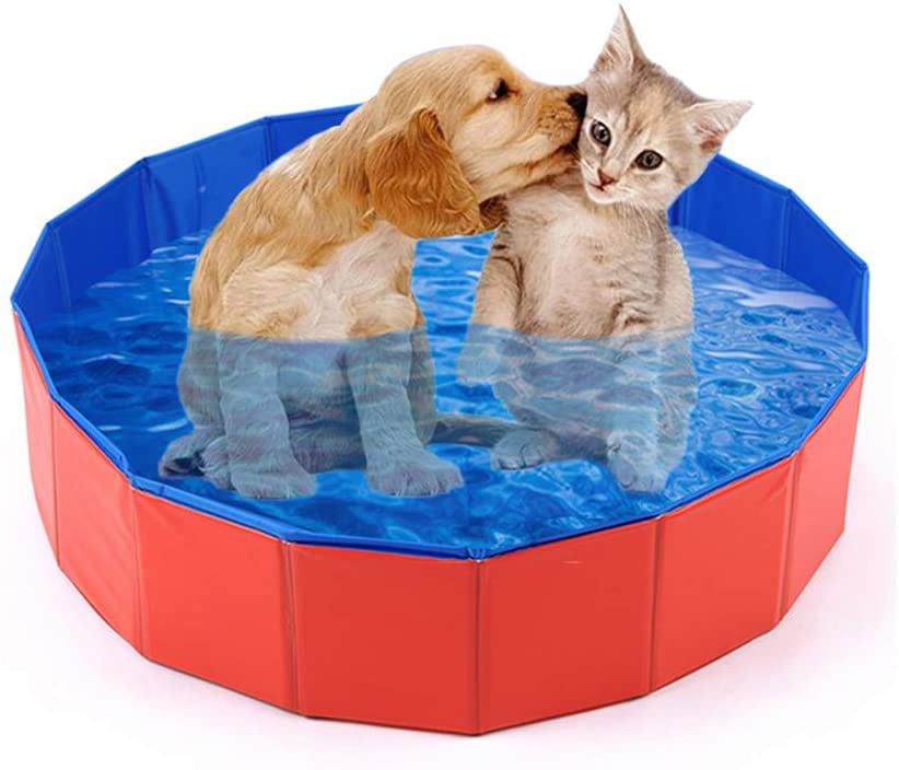 Collapsible Pet Dog Bath Pool, Kiddie Pool Hard Plastic