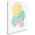 thumbnail image 2 of Trademark Fine Art 'Monstera III Bright on White' Canvas Art by Sarah Adams, 2 of 3