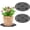2, variant on 2 Pieces Plant Level Pot Elevator-12 Inch Diameter Big Plant Stands ,Heavy Planter Holder Potted Plant Stand for Deck or Patio