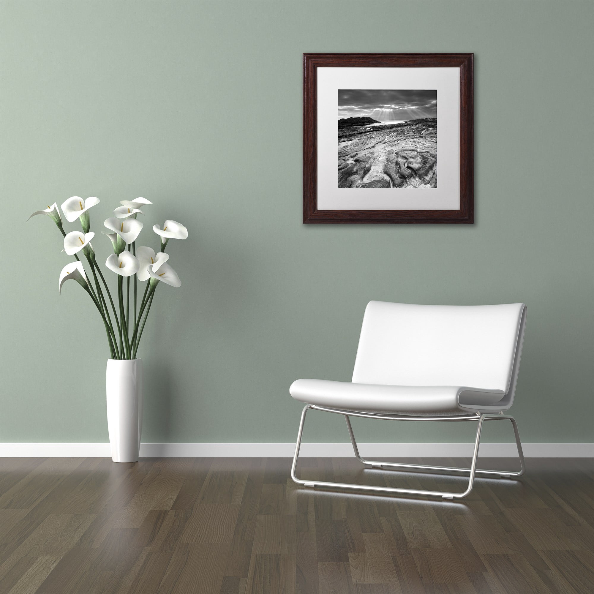Trademark Fine Art "Sunset at Point Lobos" Canvas Art by Moises Levy White Matte, Wood Frame
