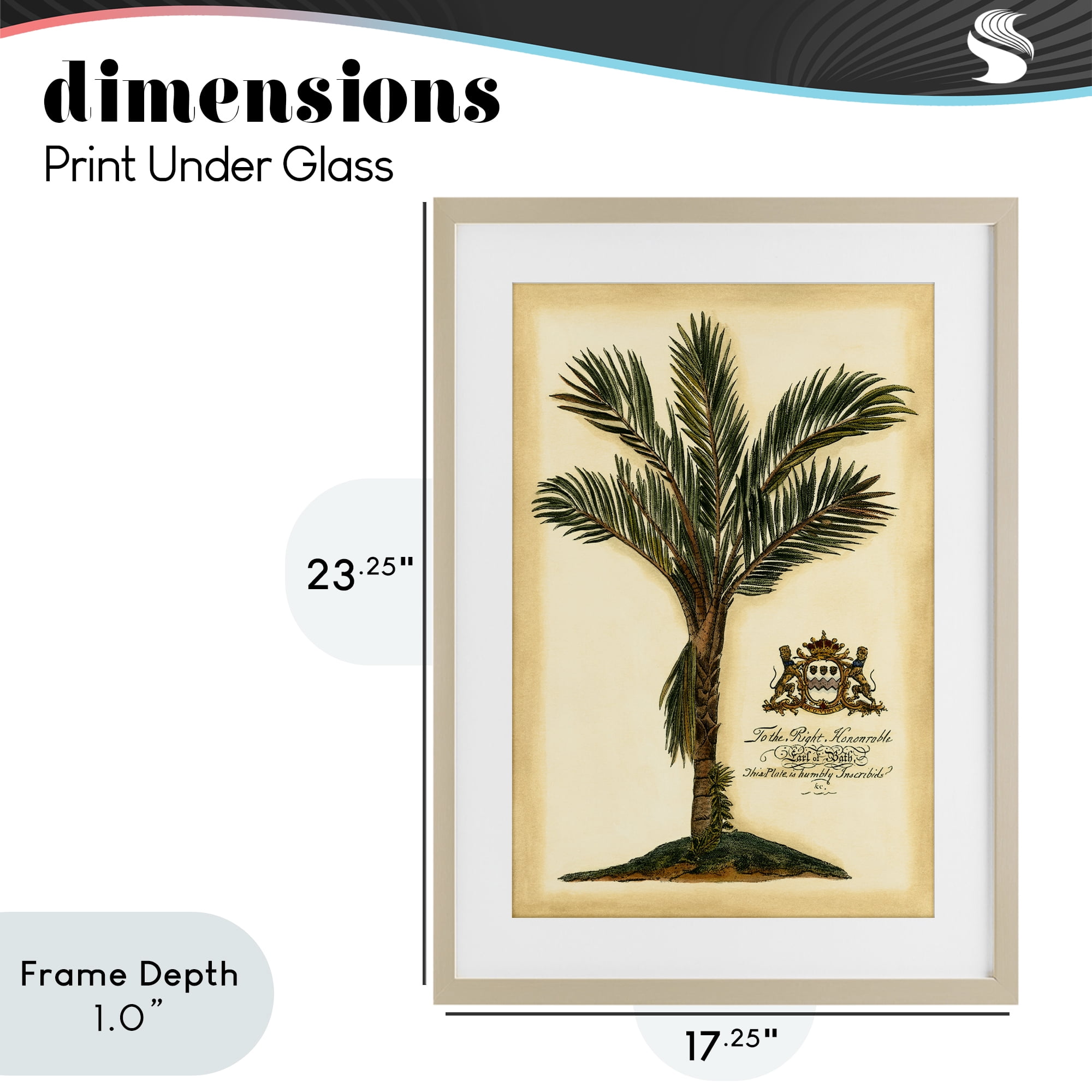 Stupell Industries Vintage Colonial Palm Birch Framed Print Under Glass, design by Vision Studio
