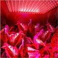 thumbnail image 2 of HQRP New 12" Square LED Grow Light System 225 Red LED 14W + Hanging Kit, 2 of 5