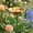 Yellow, variant on Metal Flower Pollinator Watering Station Garden Stake Butterfly Bee Hummingbird Feeder Outdoor Yard Decor Rustproof Waterproof