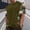 Green, variant on Men's Casual Camouflage Short Sleeve Shirt Summer Plus Size Loose Fit Trendy Blouse Outdoor Sport Breathable T Shirt Green XXXXL