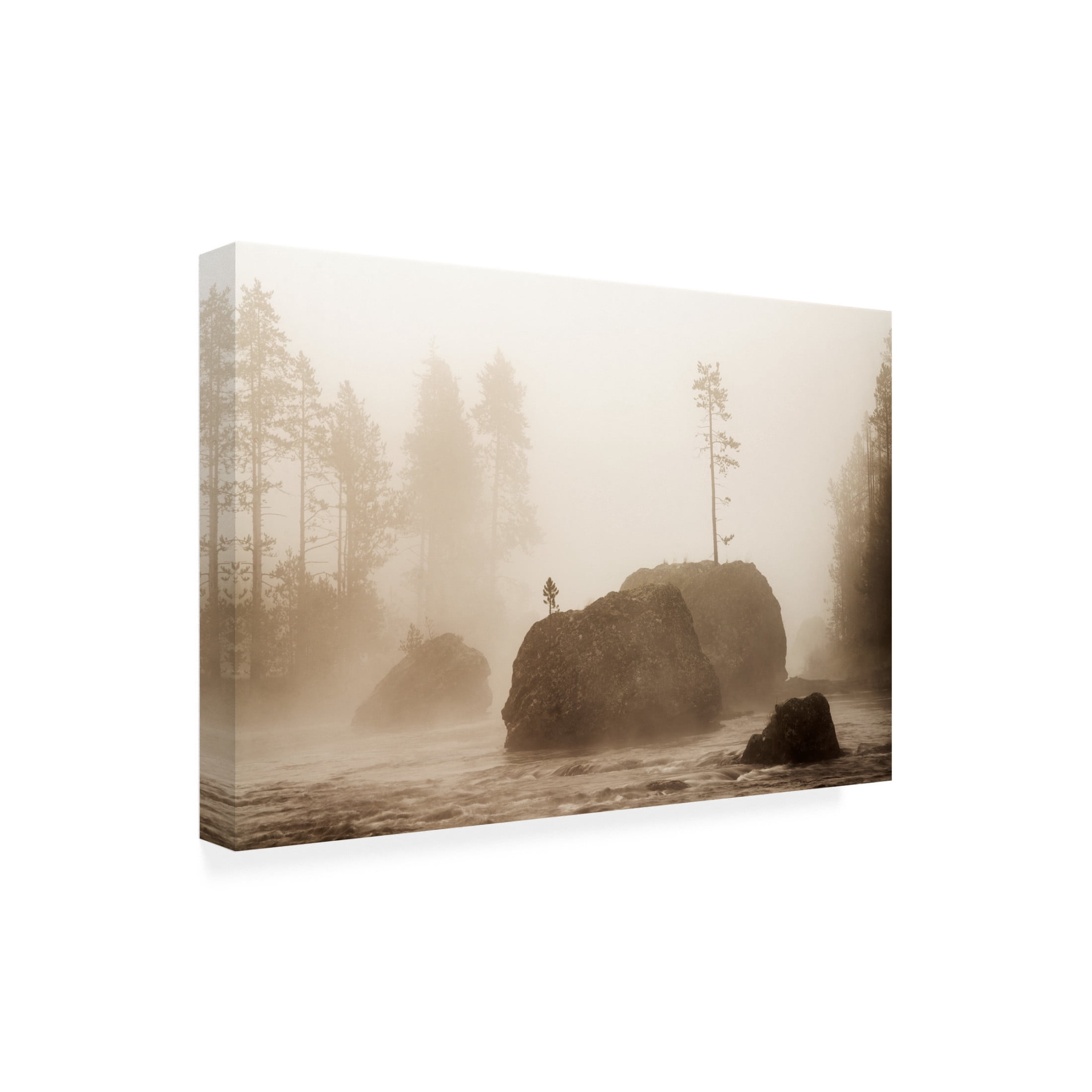 Canvas Wall Art - Dennis Frates 'Early Sunrise With Lone Tree Growing Out Of Rock' Wall Art for Living Room, Bedroom, or Office Décor by Trademark Fine Art - 19 x 12 Inches