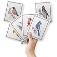 thumbnail image 2 of Paper - Assorted American Birds Greeting Cards - Stationery Cards with Envelopes - Thank You Card - Blank Note Cards - Greeting Cards for All Occasions - Made in USA (5.5 x 4.25, Set of 12), 2 of 9