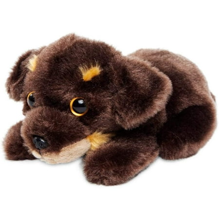 Russ Petooties Brown Puppy Stuffed Animal 5in Age : 3 Years and Up (Designs  May Vary) | Walmart Canada