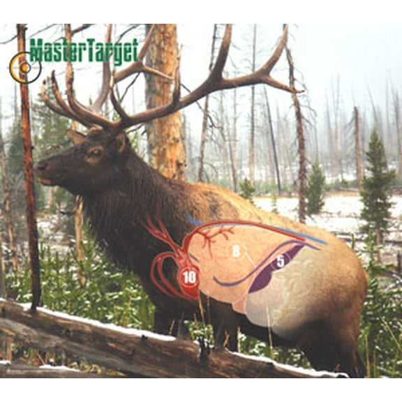 "Waterproof – Full-Color Elk Targets – 2 Pack"