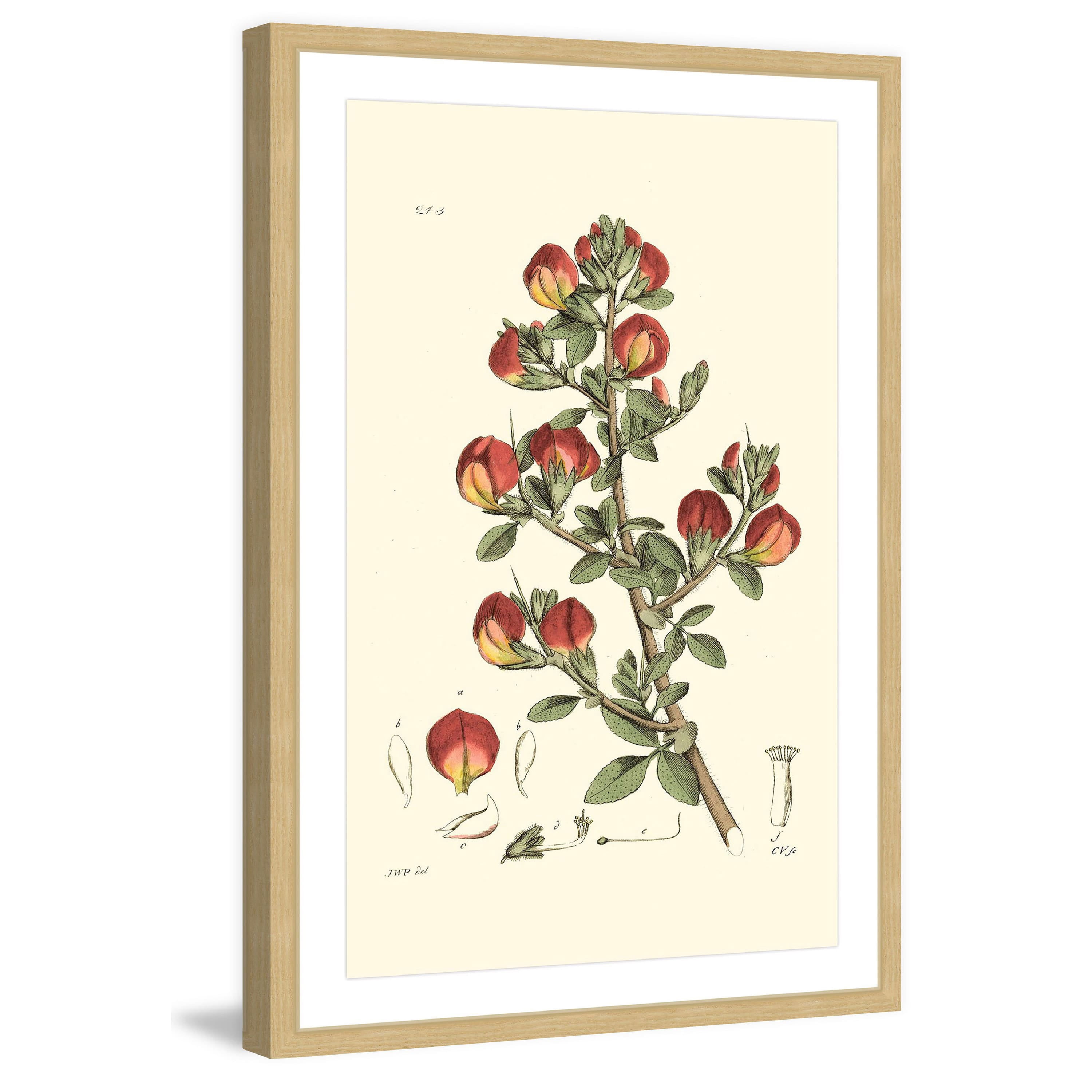 Marmont Hill "Antique Floral I" Framed Painting Print