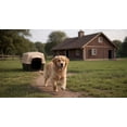 thumbnail image 6 of Petmate PetBarn 3 Plastic Outdoor Dog House, Barn Style Durable Small 21" H, for Pets 15 to 25 lbs, White, 6 of 6