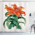 thumbnail image 1 of Ambesonne Summer Orange Shower Curtain, Thunberg's Lily Art, 69"Wx70"L, Coconut Burnt Orange, 1 of 3