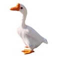 thumbnail image 2 of DYNWAVECA Artificial Feather Goose Statue Prop Housewarming Simulation Animal Figurine 15cmx20cm, 2 of 10