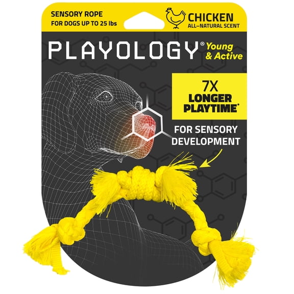 Playology Dog Toys | Puppy Toy Rope, Chicken Scented Toy for Teething, Small