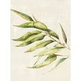 thumbnail image 2 of Watts, Eva 12x14 White Modern Wood Framed Museum Art Print Titled - Willow Branch II, 2 of 4