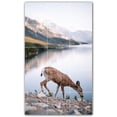 thumbnail image 1 of Picture-Tiles.com: Deer Ceramic Tile Wall Mural WAL500455-35XL. 36"W x 60"H using (15) 12" x 12" Ceramic Tiles-Satin Finish, 1 of 3