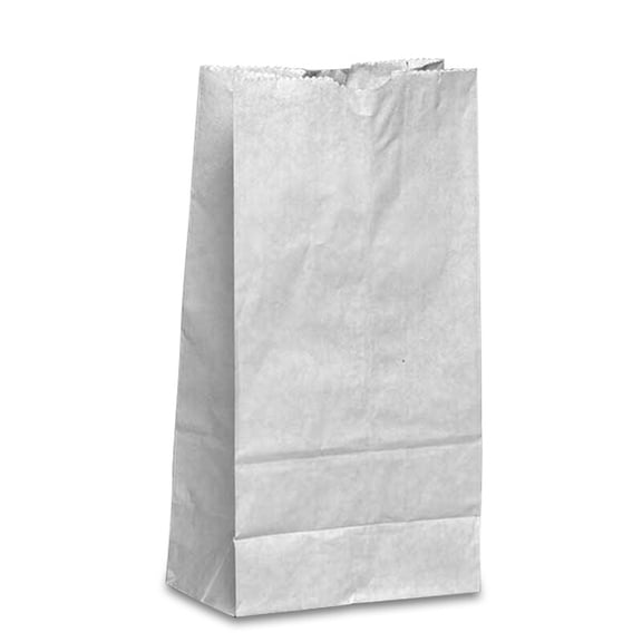 Large 6-1/8 x 4 x 12-3/8 inches White Kraft Paper Lunch Grocery Bags, 100 pack