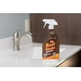 thumbnail image 2 of Whink 24 oz. Rust Stain Remover Foaming Spray 349944, 2 of 9