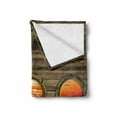thumbnail image 2 of Nautical Soft Flannel Fleece Throw Blanket, Rustic Wooden Ship Backdrop Design Oval Windows Orange Ocean Scenes in Sundown, Cozy Plush for Indoor and Outdoor Use, 50" x 70", Multicolor, by Ambesonne, 2 of 6