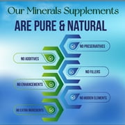 NutriNoche Liquid Iron Supplement 30 ppm Ultra Pure Crystalline Gluten-Free Vegan 8 Ounces