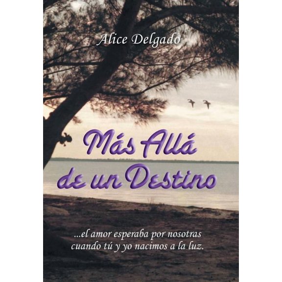 Más allá de un destino (Hardcover)