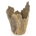 thumbnail image 2 of Sculpture Statue Medium Wood New ZT-2197, 2 of 3