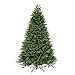 thumbnail image 3 of Vickerman 6.5' x 52" Tiffany Fraser Fir Artificial Christmas Tree, Unlit, 3 of 4
