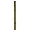60in Natural Bamboo Stake