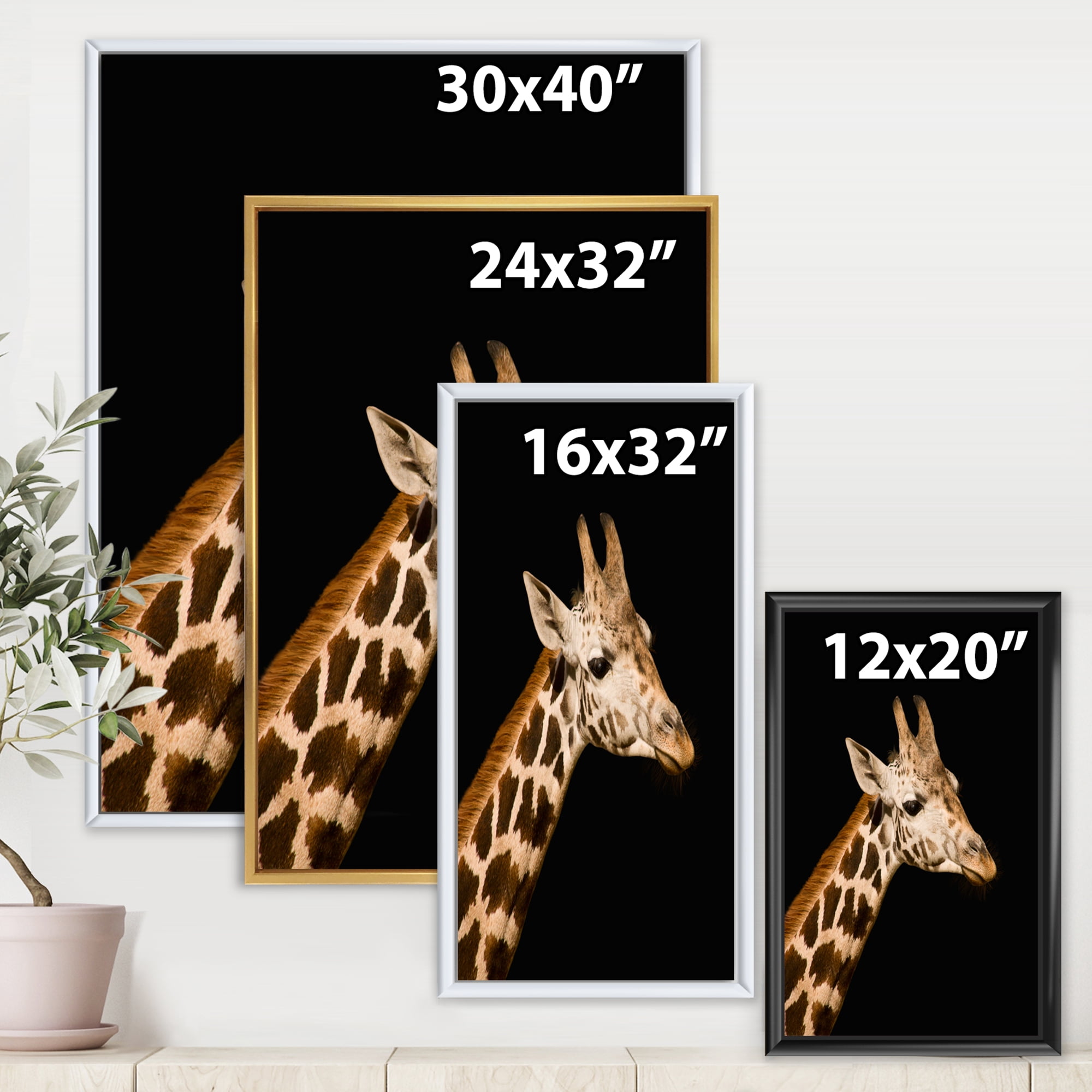 Designart 'Close Up Portrait Of A Giraffe On Black IV' Farmhouse Framed Canvas Wall Art Print