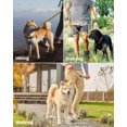 thumbnail image 2 of OutdoorMaster Bungee Dog Leash, Heavy Duty Dog Leash with Shock Absorption, 2 Padded Handles Training Leash, Improved Dog Safety and Comfort - Brown Upgraded, 6 FT, 2 of 6