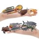 thumbnail image 2 of Juguetes para niños, figuritas realistas de vida marina en el océano, figuras de acción de animales antiguos, figuras de Trilobite Plesiosaurus, juguete, 2 of 3
