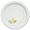 SOLO Cup Company OFMP6-J7234 Bare Paper Dinnerware, 6" Plate, Green/Tan, 500/Carton