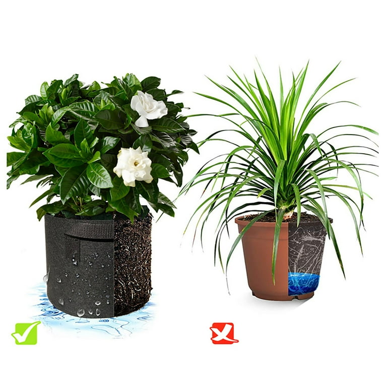 shade for potted plants Shade Perennial Garden