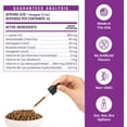 thumbnail image 6 of Special Breed L-Lysine for Cats & Kittens – Immune, Respiratory & Eye Health Support – Liquid Cat Supplement with Astragalus, Burdock, Atractylodes, Dangshen & Vitamins A, B1, B2, B6 – 2oz (60mL), 6 of 9