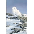 thumbnail image 2 of Goebel, Wilhelm 10x14 Gold Ornate Wood Framed with Double Matting Museum Art Print Titled - Snowy Owl, 2 of 4
