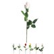 thumbnail image 5 of Injueey Tela Rose Bud Flores artificiales Simulación Decorativa Artificial Rose Flores falsas Hogar Boda Hotel Jardín Decoración Kits de decoración para fiestas rojo Injueey JJ16226-03, 5 of 6