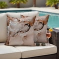 thumbnail image 2 of Outdoor Pillow Cover Brown Marble Set of 2 Waterproof Throw Pillowcases Abstract Waves Cloud Decorative Patio Furniture Pillows for Couch Garden Indoor & Outdoor Use, 2 of 9