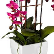 Dahlia Studios Potted Faux Artificial Flowers Realistic Purple Fuchsia Orchid in White Ceramic Pot for Home Decoration 29 High