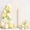 Ivory, variant on Festapza Polyester Backdrop arch cove 2-Sided (6FT, 6.6FT) Set of 2 for Wedding Party White
