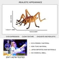 thumbnail image 3 of Ksopiavobs Realistic Animal Figures Cricket Figurines Insect Toy, Science Project, Cake Topper, Early Educational Toys Birthday for Toddlers Kids Age 3 4 5, 3 of 6