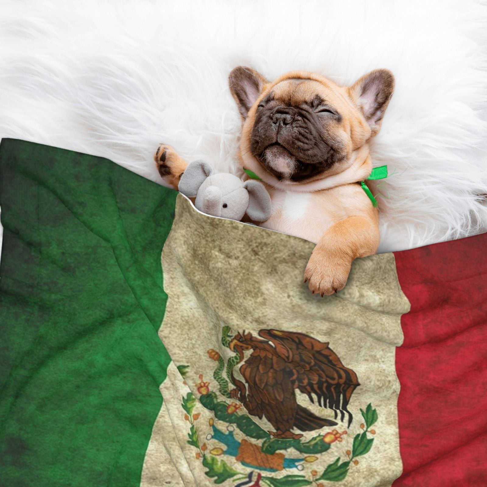 Retro-Mexico-Sacred Flag Dog Blanket Soft Warm Flannel Cat Blanket Great Pet Throw for Cats Puppy Small Medium Large Dog