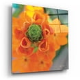 thumbnail image 2 of Epic Art 'Floral Pop IV' by Lori Deiter, Acrylic Glass Wall Art, 12"x12", 2 of 8