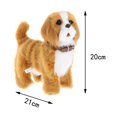 thumbnail image 4 of 2 Piezas Divertidas Mascotas Electrónicas de Aprendizaje con Pilas Sunnimix Juguetes interactivos, 4 of 8