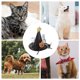 thumbnail image 5 of BRIGHTFUFU 2Pcs  Pet Cap Pumpkin Headwear for Dogs and Cats Perfect for Parties and Photos, 5 of 6