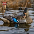 thumbnail image 3 of Open Box Avian X Power Shaker Motion Mallard Hen Preener Decoy, Mimic Realistic Motion, 3 of 11