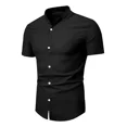 thumbnail image 3 of Camisa Hombre Manga Corta Corte Pegado Strech Cuello Mao G, 3 of 5