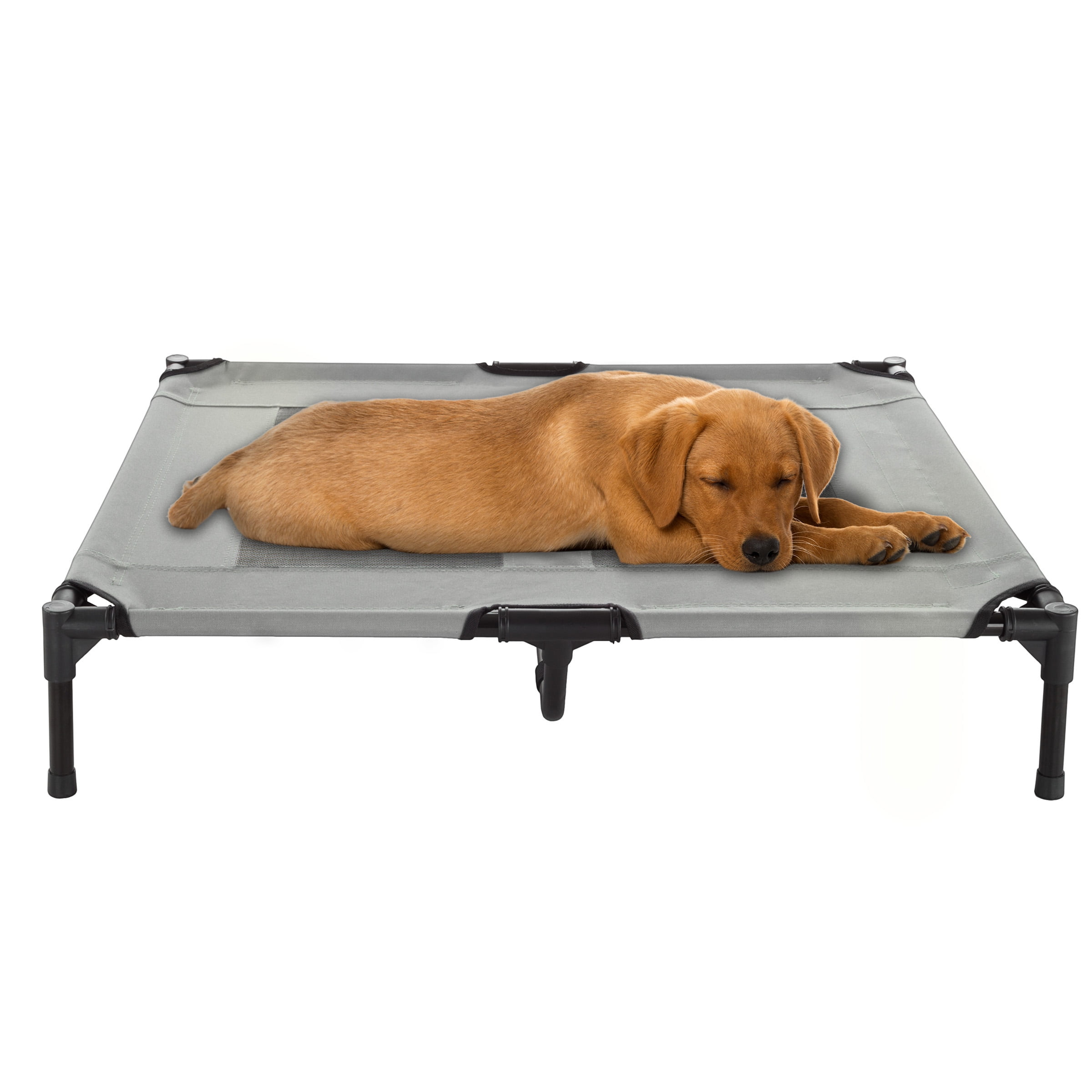 Elevated Dog Bed = Indoor/Outdoor Dog Cot or Puppy Bed for Pets up to