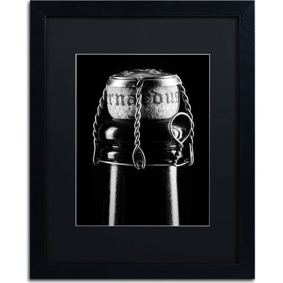 Trademark Fine Art "St. Bernardus" Canvas Art by Jason Shaffer, Black Matte, Black Frame